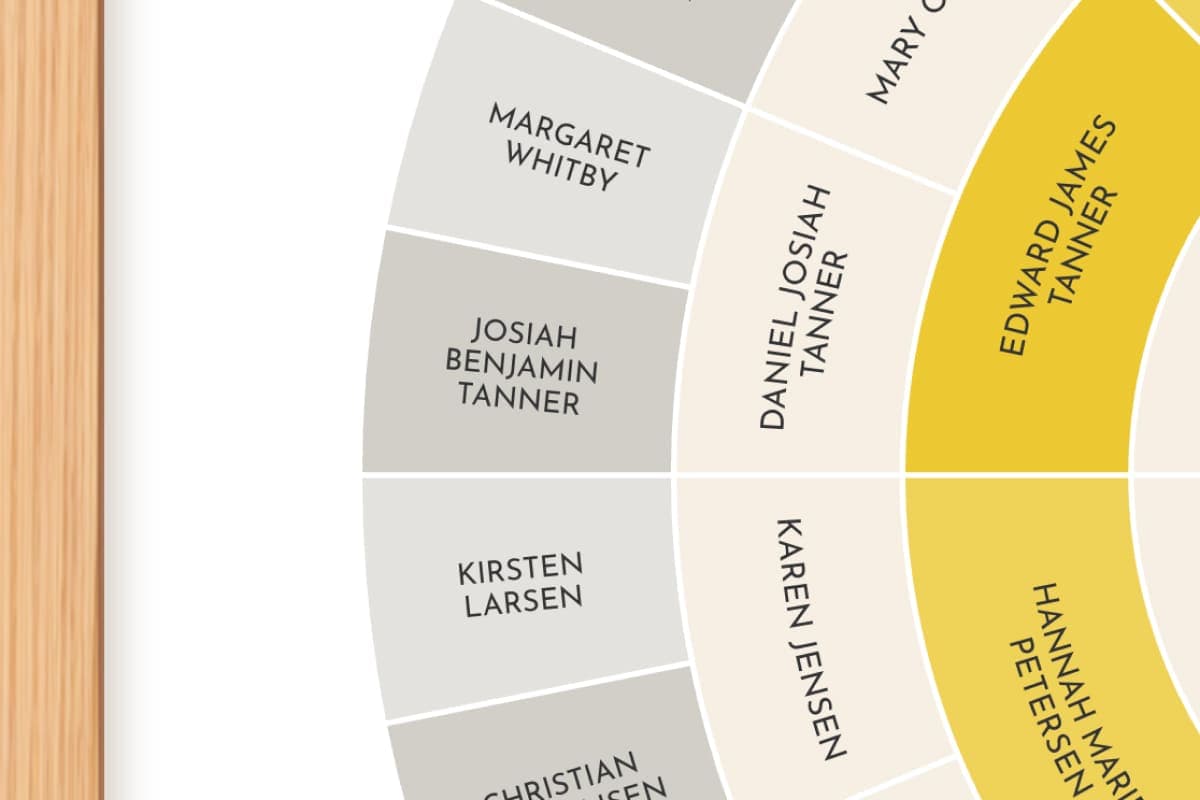 Close crop of a goldenrod fan chart showing curved type set inside each generation ring